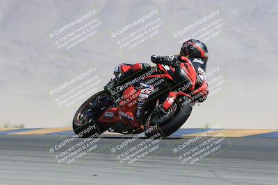 media/May-13-2023-SoCal Trackdays (Sat) [[8a473a8fd1]]/Turn 9 (11am)/